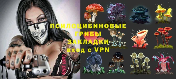 круглые Алзамай